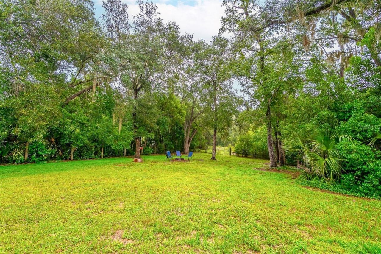 31050 Lochmore Circle , Mount Plymouth, FL 32776 Photo
