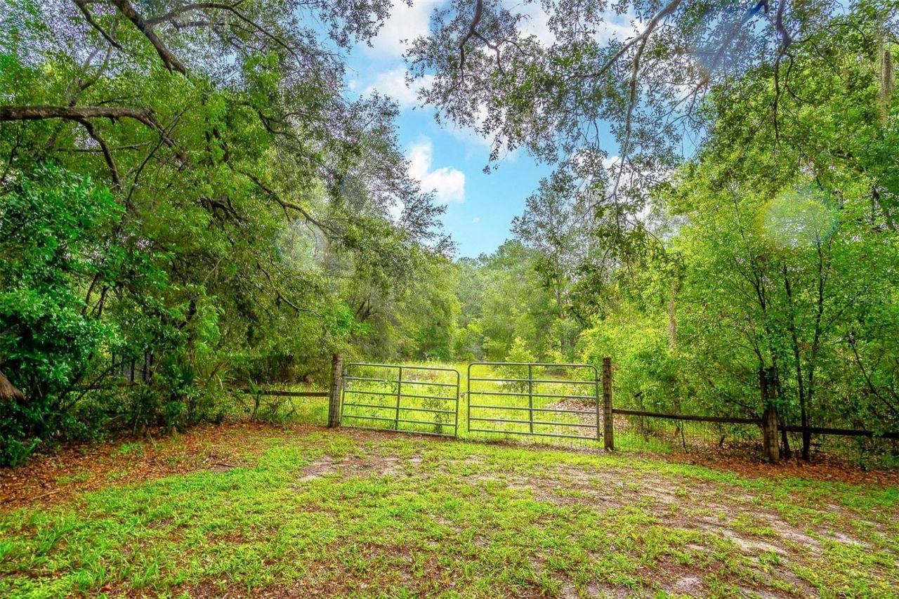 31050 Lochmore Circle , Mount Plymouth, FL 32776 Photo