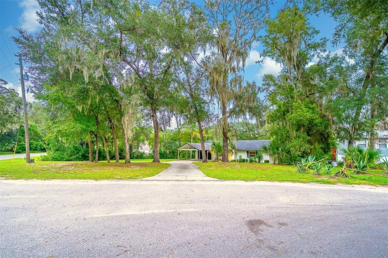 31050 Lochmore Circle , Mount Plymouth, FL 32776 Photo