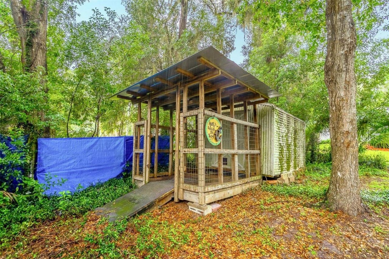 31050 Lochmore Circle , Mount Plymouth, FL 32776 Photo