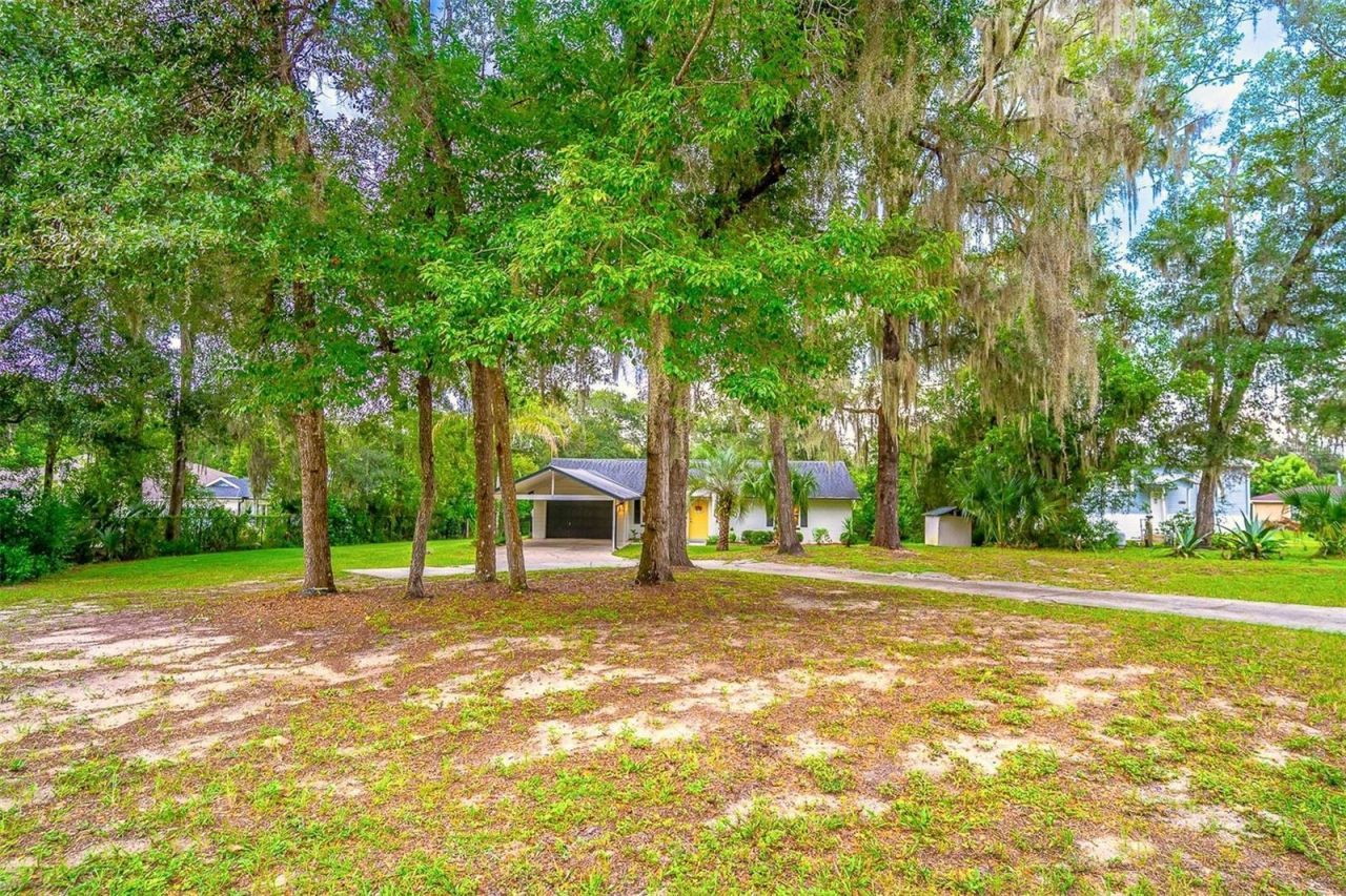 31050 Lochmore Circle , Mount Plymouth, FL 32776 Photo