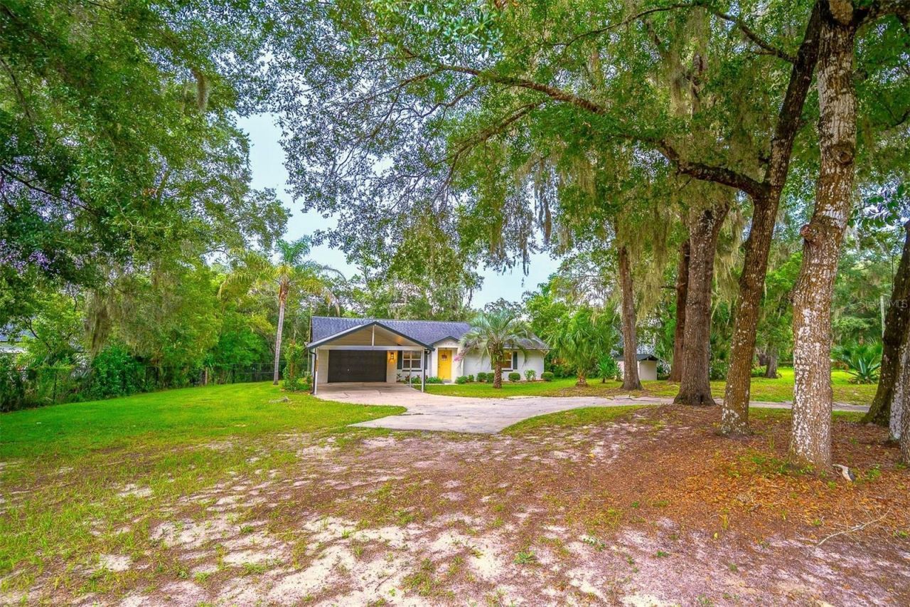 31050 Lochmore Circle , Mount Plymouth, FL 32776 Photo