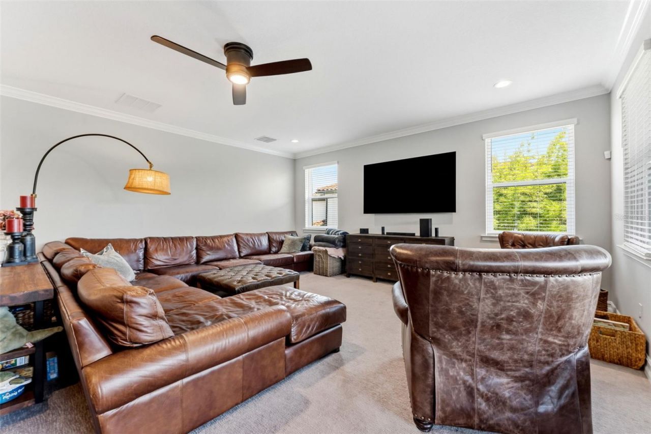 28524 Picana Lane, Wesley Chapel, FL 33543 Photo