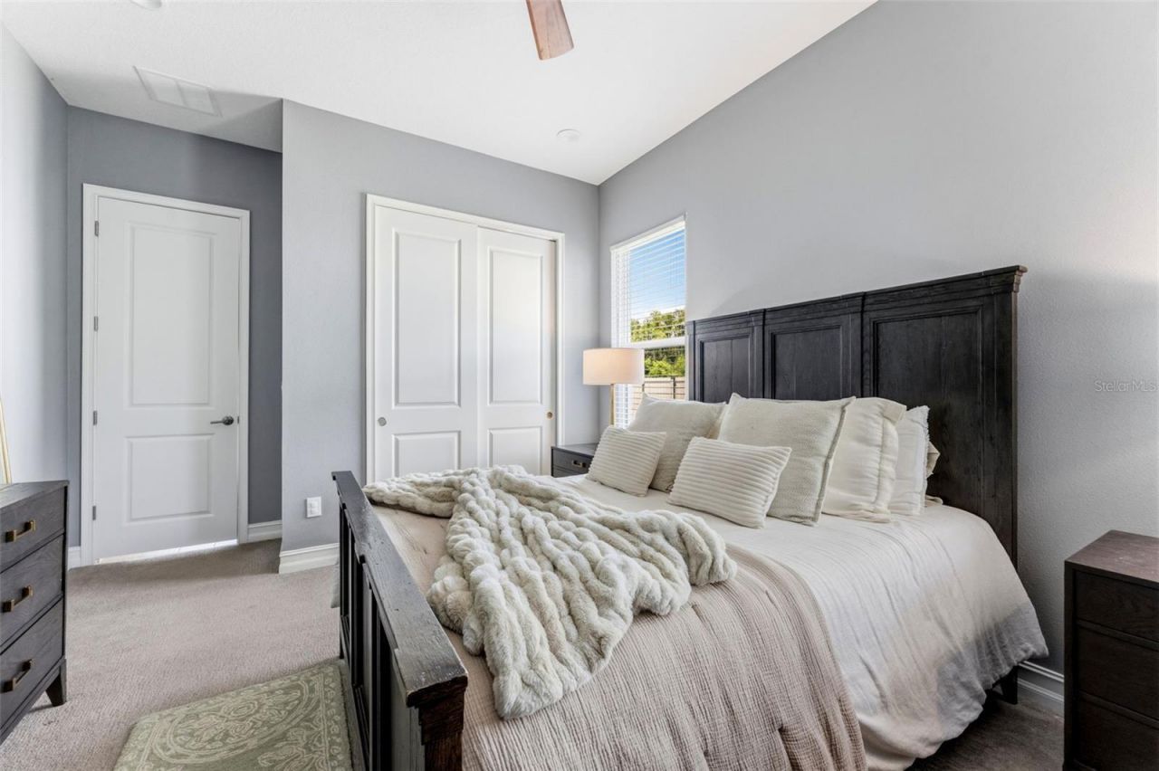 28524 Picana Lane, Wesley Chapel, FL 33543 Photo