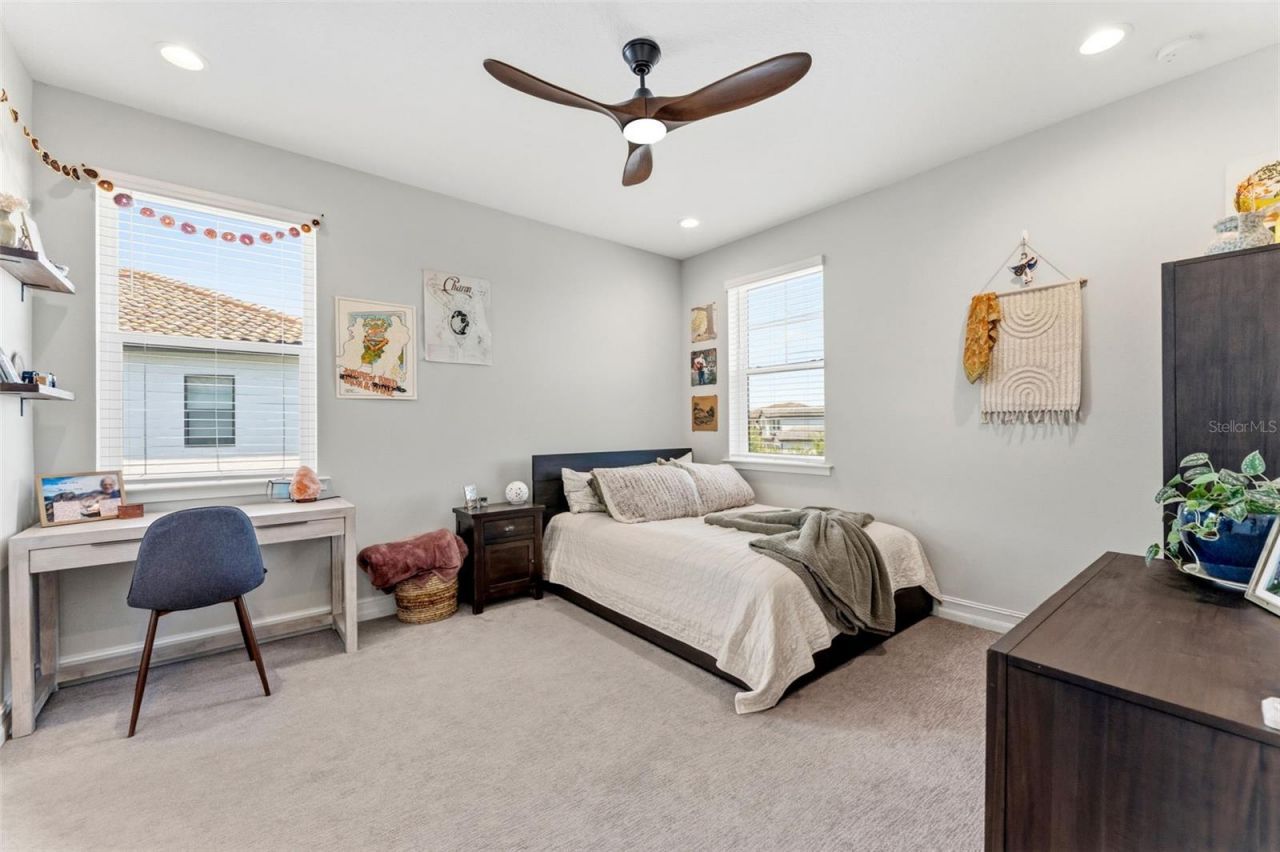 28524 Picana Lane, Wesley Chapel, FL 33543 Photo