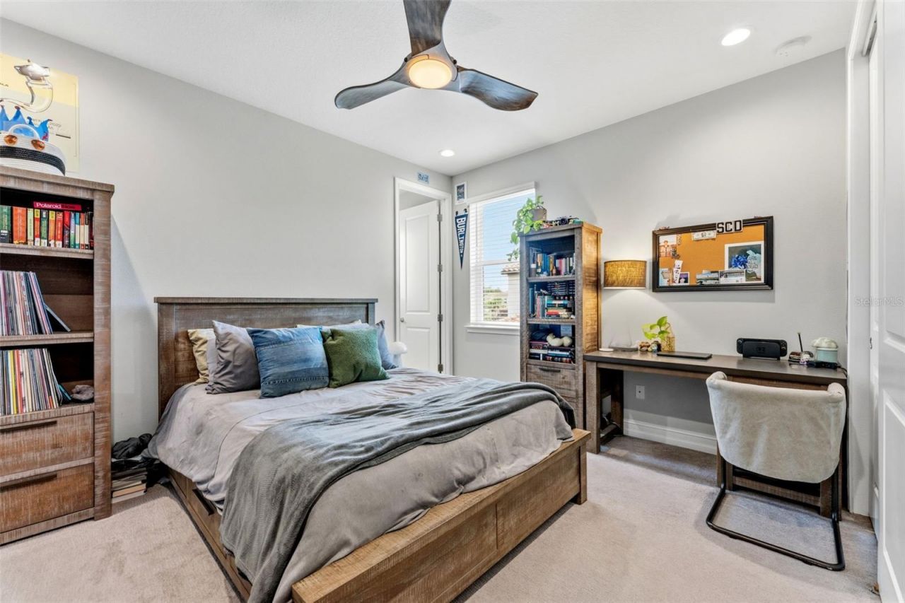28524 Picana Lane, Wesley Chapel, FL 33543 Photo