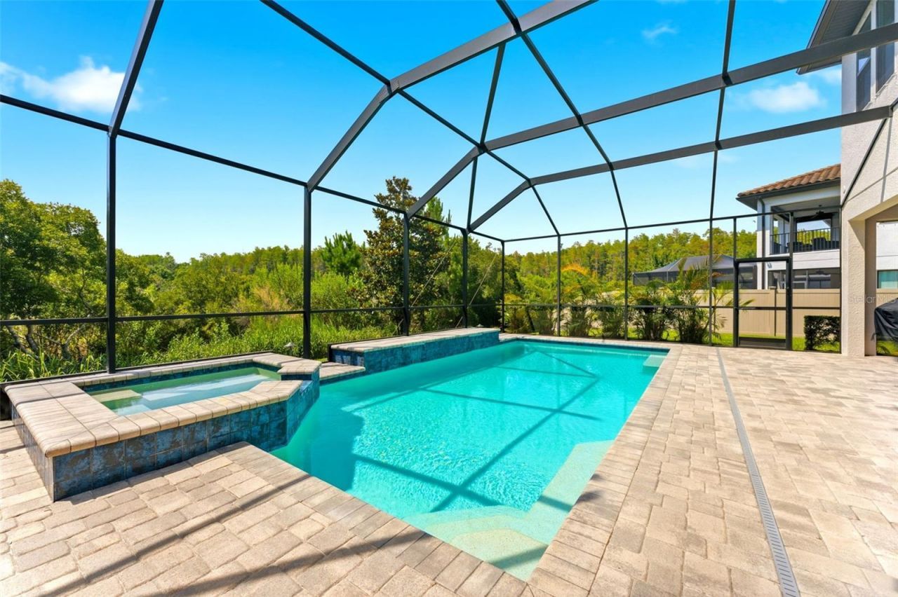 28524 Picana Lane, Wesley Chapel, FL 33543 Photo