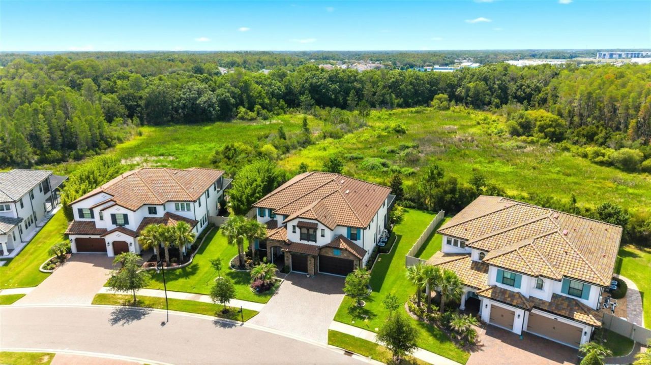 28524 Picana Lane, Wesley Chapel, FL 33543 Photo