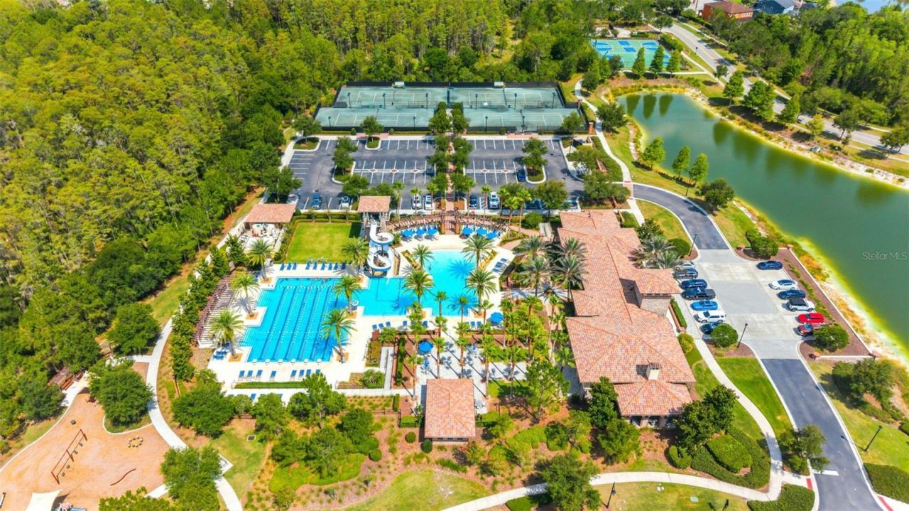 28524 Picana Lane, Wesley Chapel, FL 33543 Photo