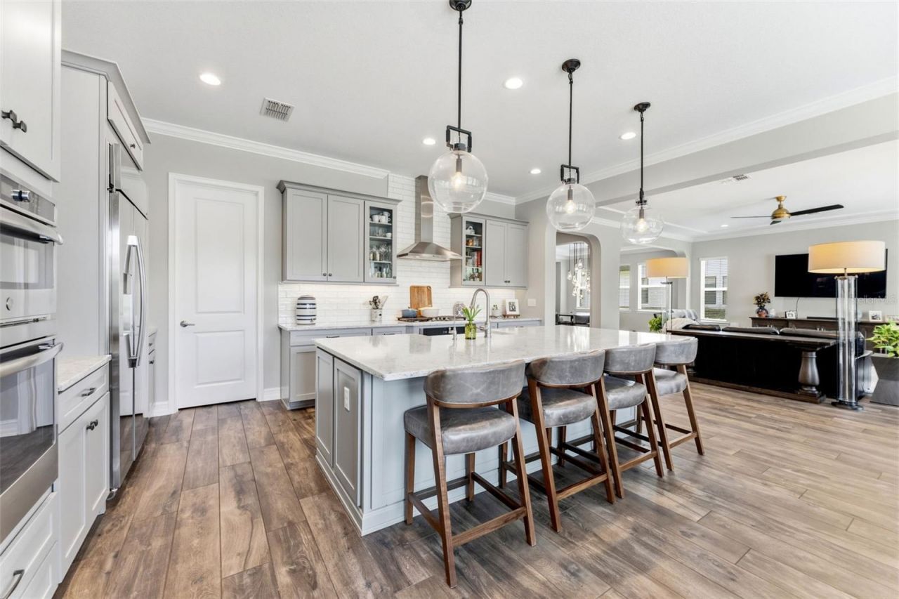 28524 Picana Lane, Wesley Chapel, FL 33543 Photo