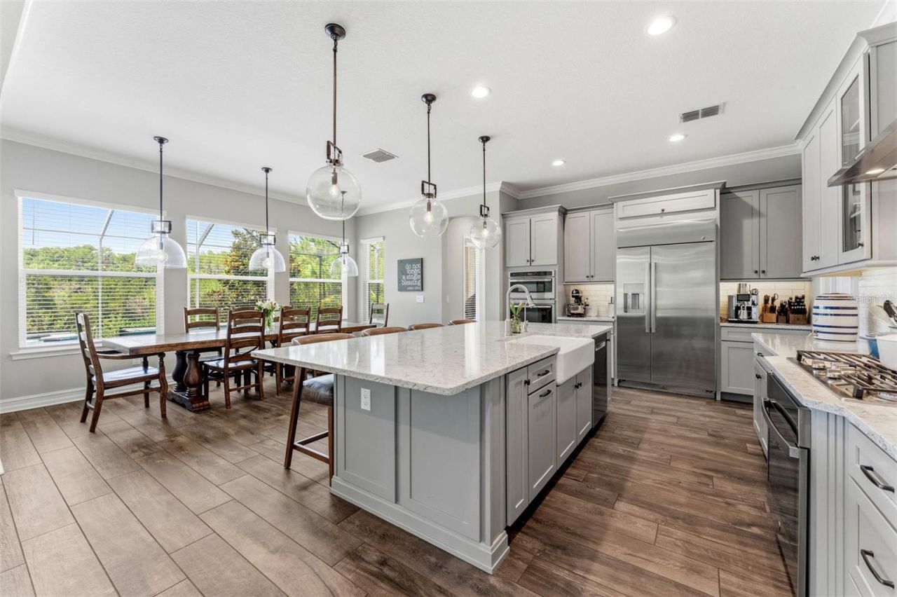 28524 Picana Lane, Wesley Chapel, FL 33543 Photo