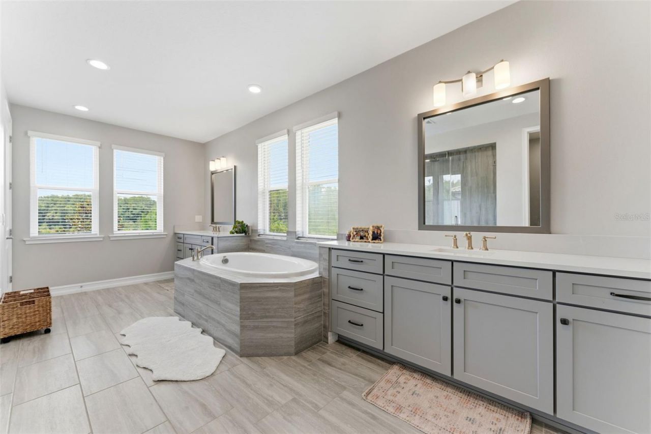 28524 Picana Lane, Wesley Chapel, FL 33543 Photo