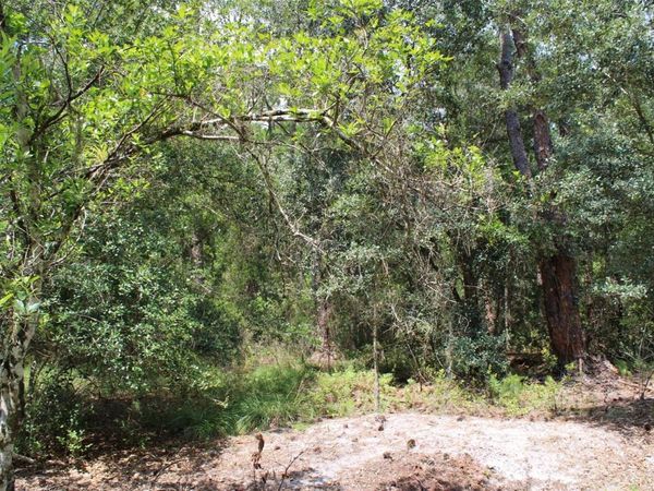 1217 IRIS AVENUE , SEBRING, FL 33875