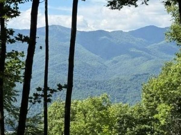 140 Boar Ridge Road , Sylva, NC 28779