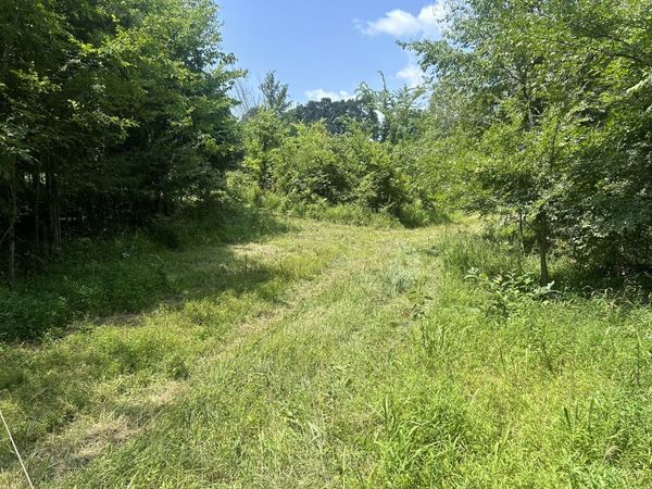 TBD Bushwack Road , Golconda, IL 62938