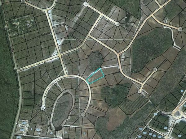 LOT 114 Pinecrest, Waynesville, GA 31566