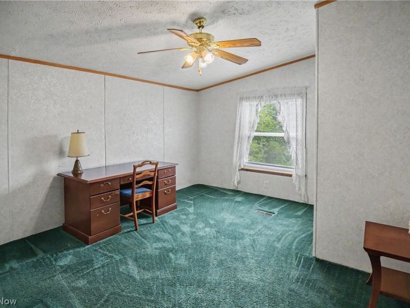 209 Cherry Avenue, Niles, OH 44446 Photo 19