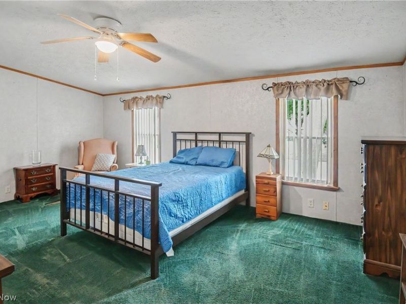 209 Cherry Avenue, Niles, OH 44446 Photo 21