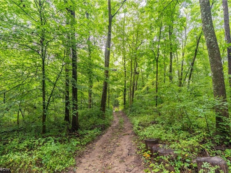 17881 Horseshoe Bend Road E, Newcomerstown, OH 43832 Photo 30