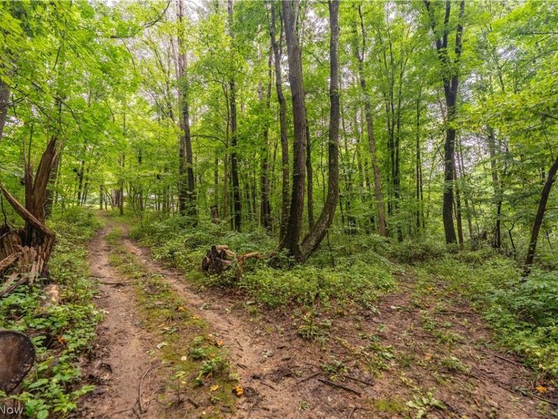 17881 Horseshoe Bend Road E, Newcomerstown, OH 43832 Photo 31