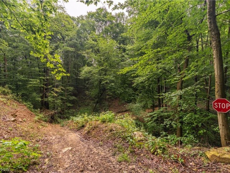17881 Horseshoe Bend Road E, Newcomerstown, OH 43832 Photo 36