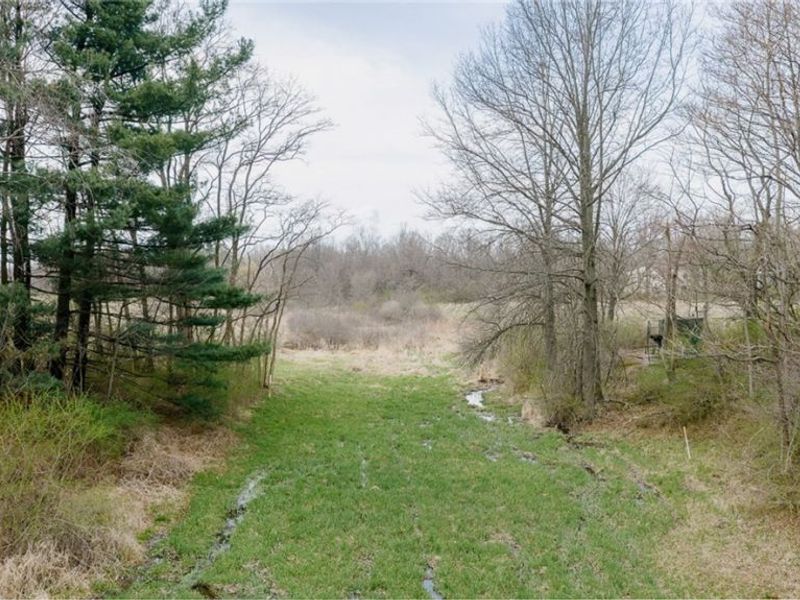 5006 S Canfield Niles Road , Canfield, OH 44406 Photo 3