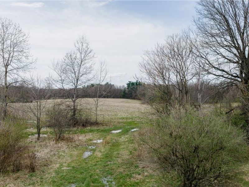 5006 S Canfield Niles Road , Canfield, OH 44406 Photo 4