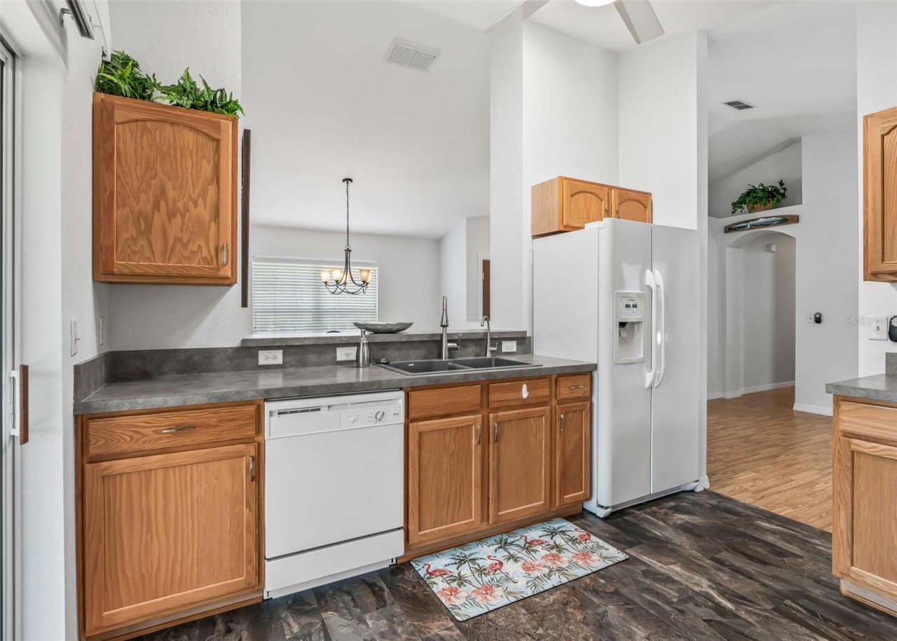11137 SE 174th Loop, Summerfield, FL 34491 Photo