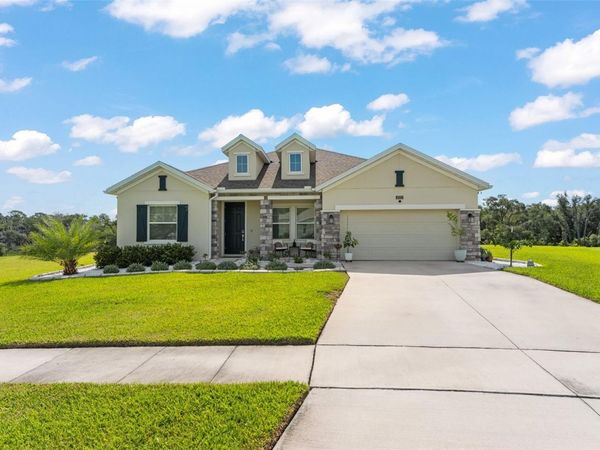 6025 CLAYSTONE WAY , MOUNT DORA, FL 32757