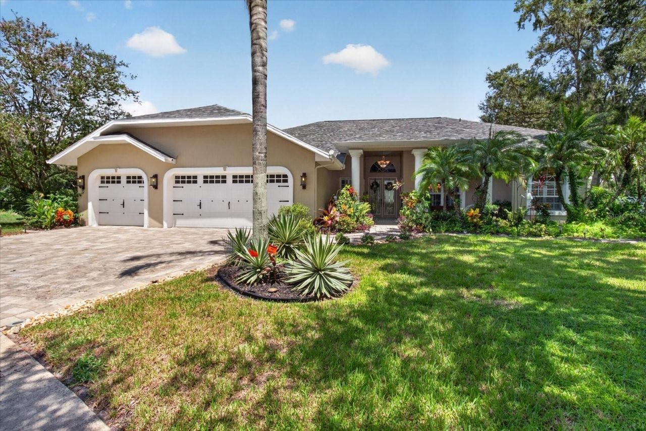 8735 Crescent Forest Boulevard, New Port Richey, FL 34654 Photo