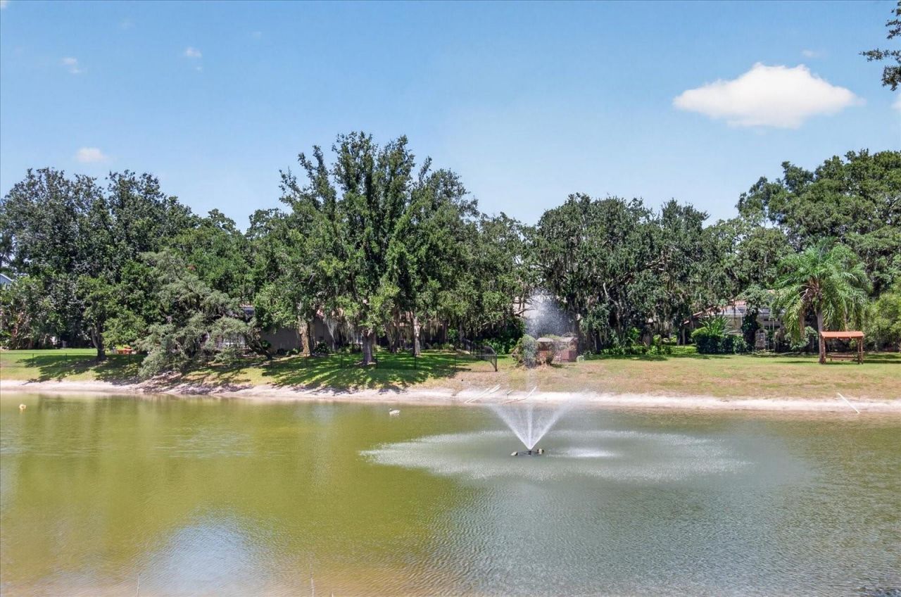 8735 Crescent Forest Boulevard, New Port Richey, FL 34654 Photo
