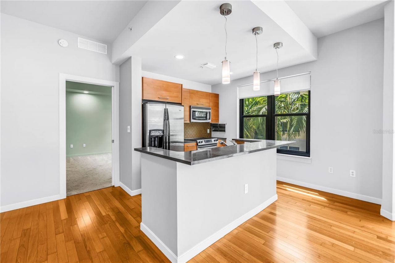 400 4th Avenue S, Unit 207, Saint Petersburg, FL 33701 Photo