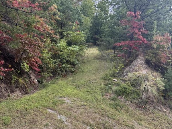 0 Enclave Park Way , Unit 49, Sevierville, TN 37862