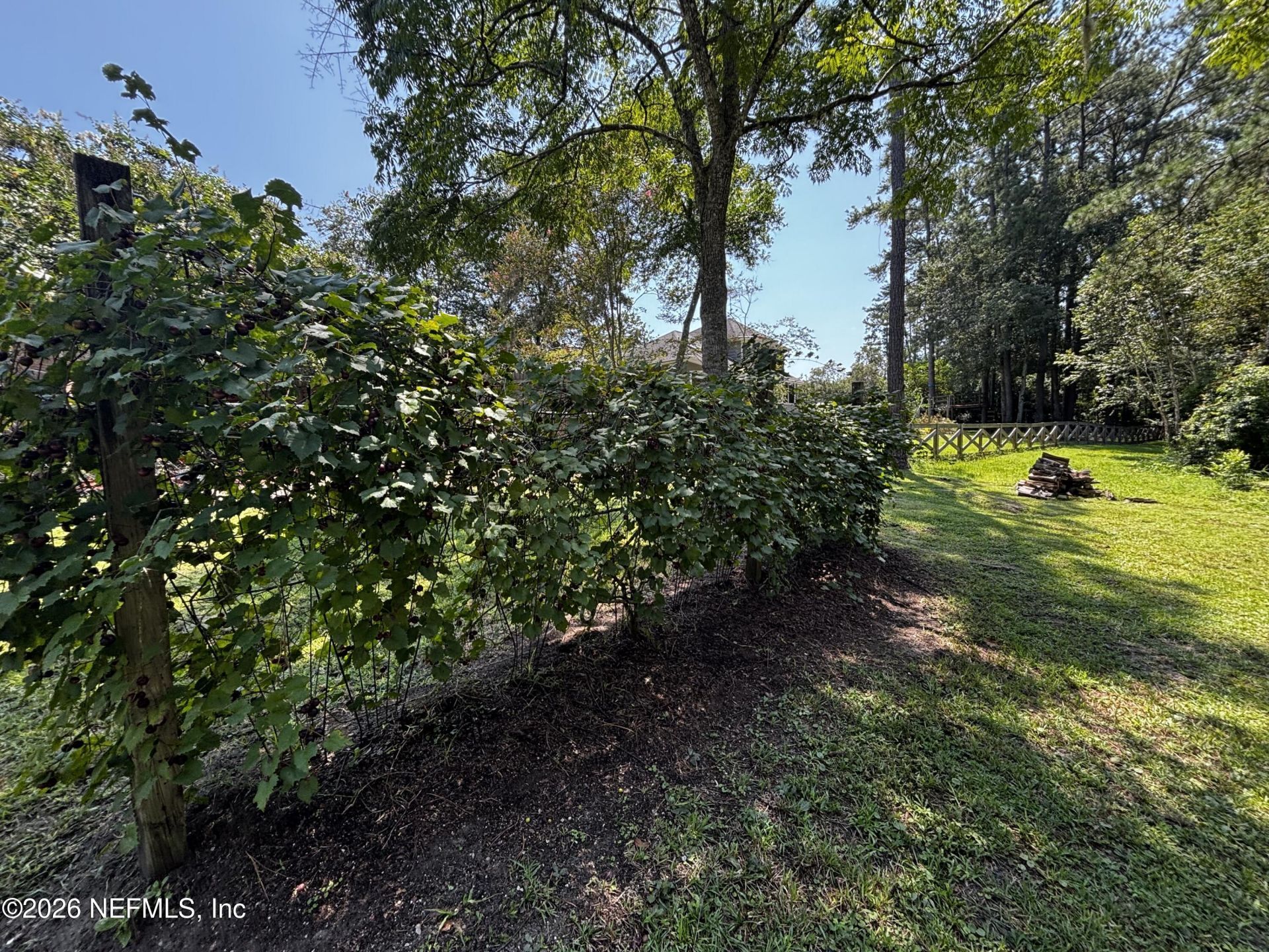 10645 St Marys Circle W, Macclenny, FL 32063 Photo