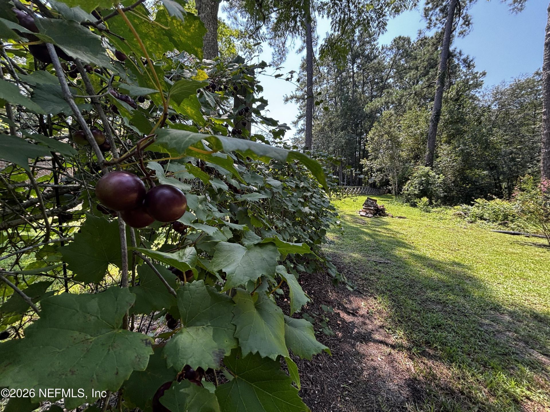 10645 St Marys Circle W, Macclenny, FL 32063 Photo