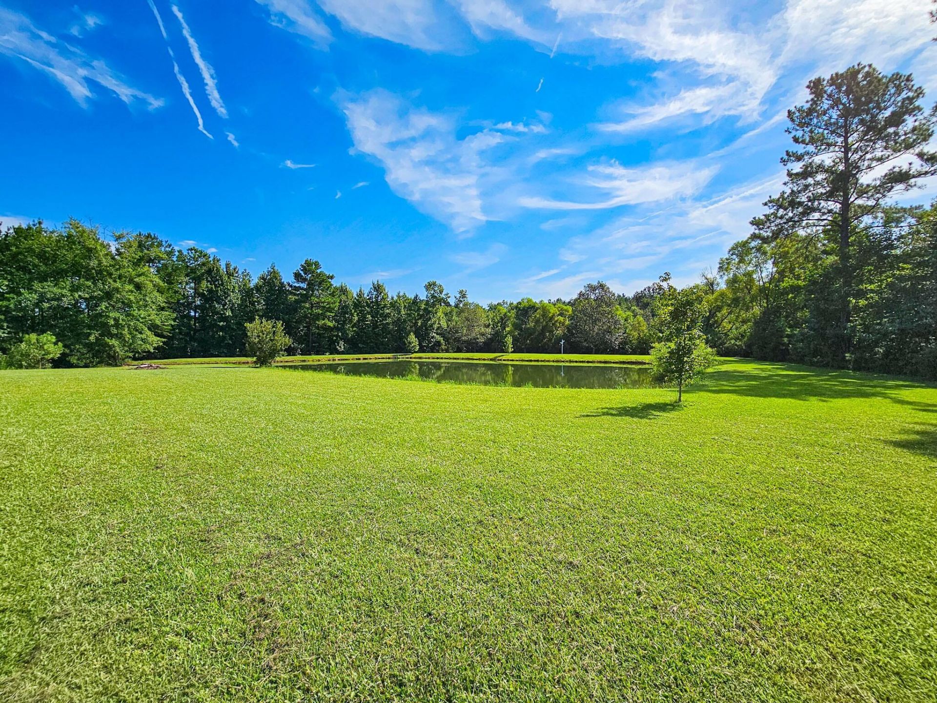 80 Indian Oaks Photo 14