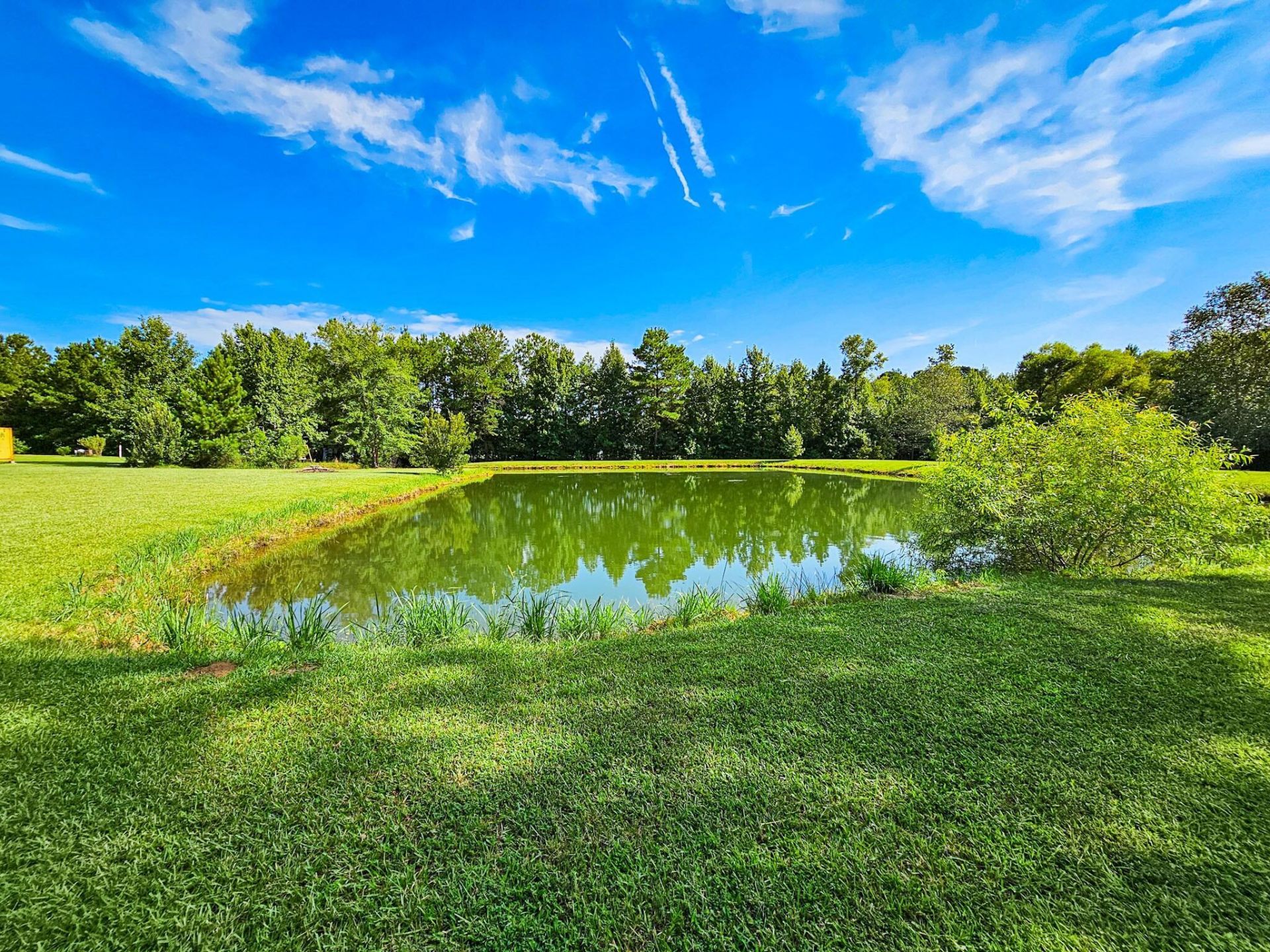 80 Indian Oaks Photo 15