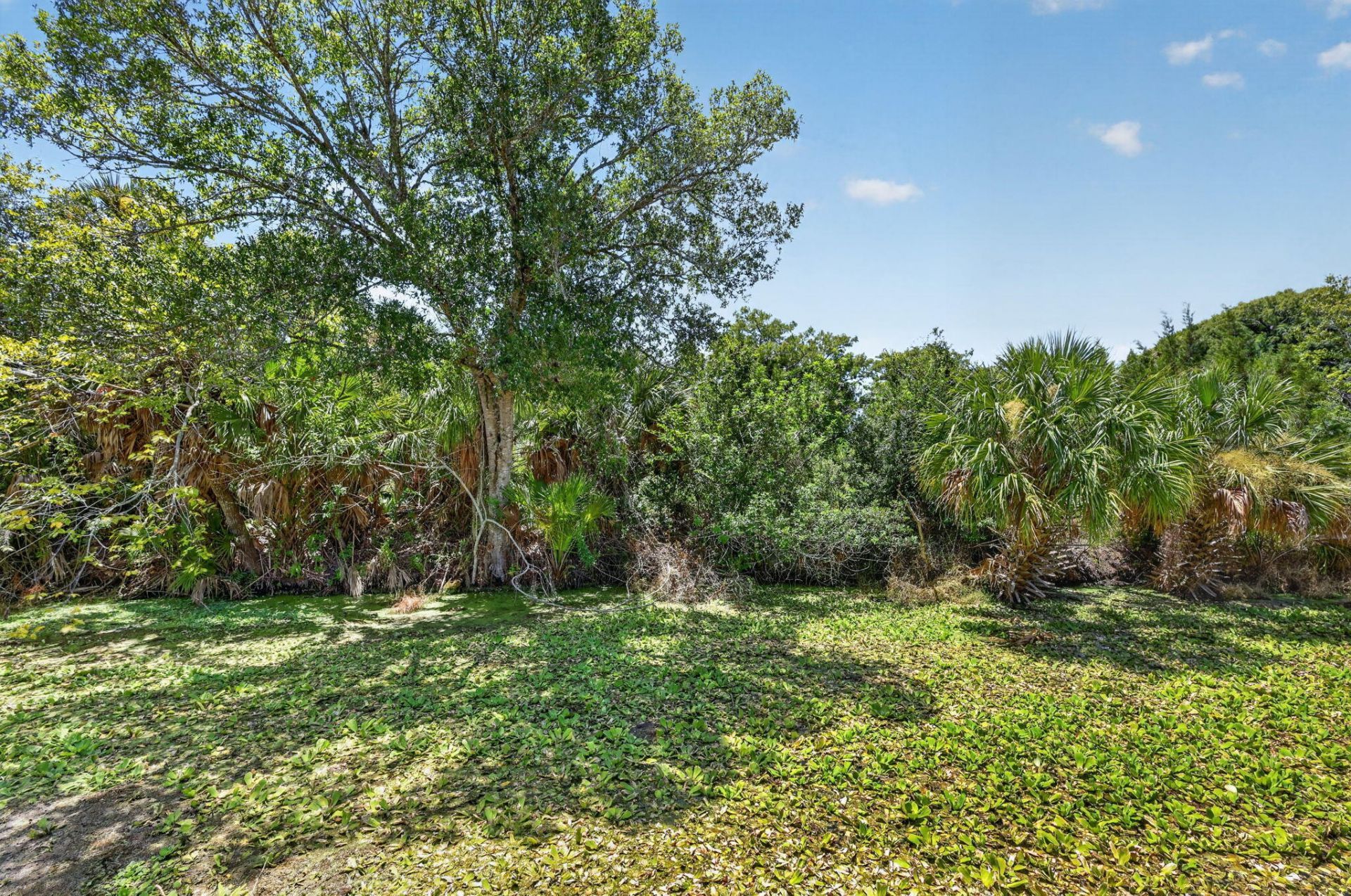 4044 SE 29th Court, Okeechobee, FL 34974 Photo