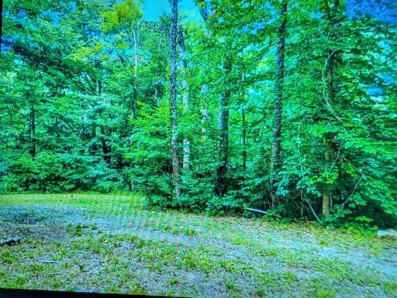 9884 State Rt 93, New Straitsville, OH 43766 Photo 3