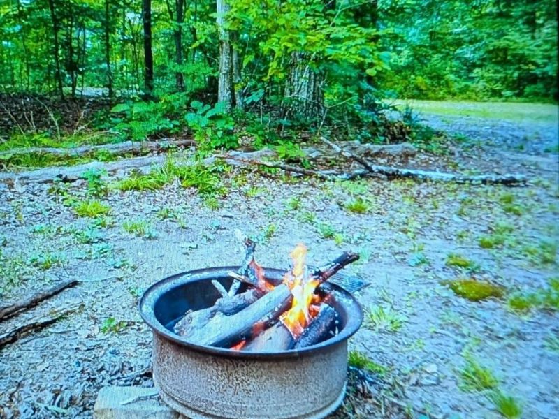 9884 State Rt 93, New Straitsville, OH 43766 Photo 8