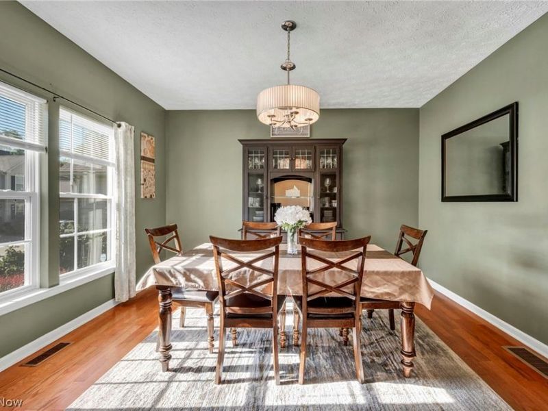 920 Alder Run Way, Akron, OH 44333 Photo 3