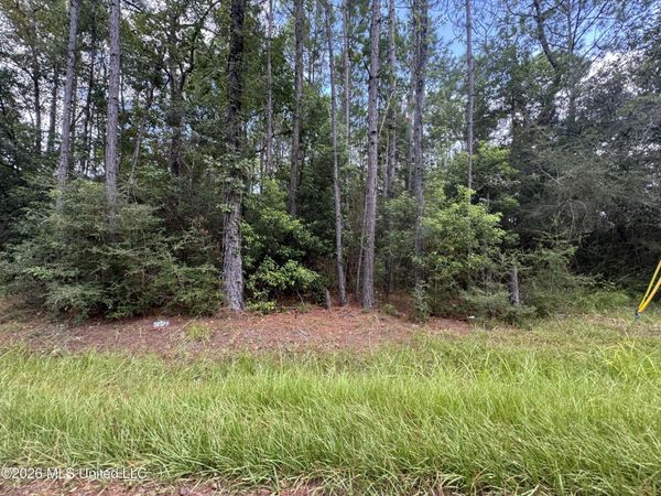 Sycamore Street, Waveland, MS 39576