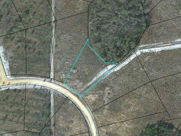 LOT 115 Pinecrest, Waynesville, GA 31566