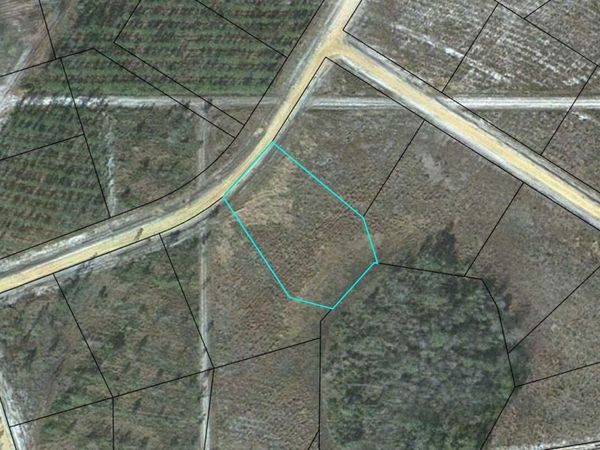 LOT 49 Pinecrest, Waynesville, GA 31566