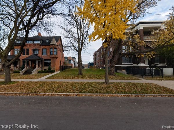 655 W ALEXANDRINE Street, Detroit, Mi 48201