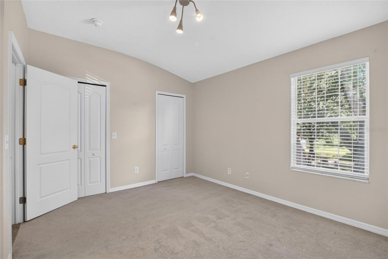 15768 Fishhawk Falls Drive, Lithia, FL 33547 Photo
