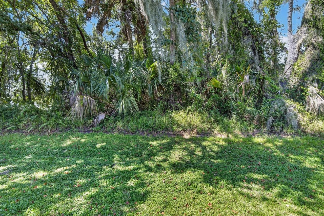 15768 Fishhawk Falls Drive, Lithia, FL 33547 Photo