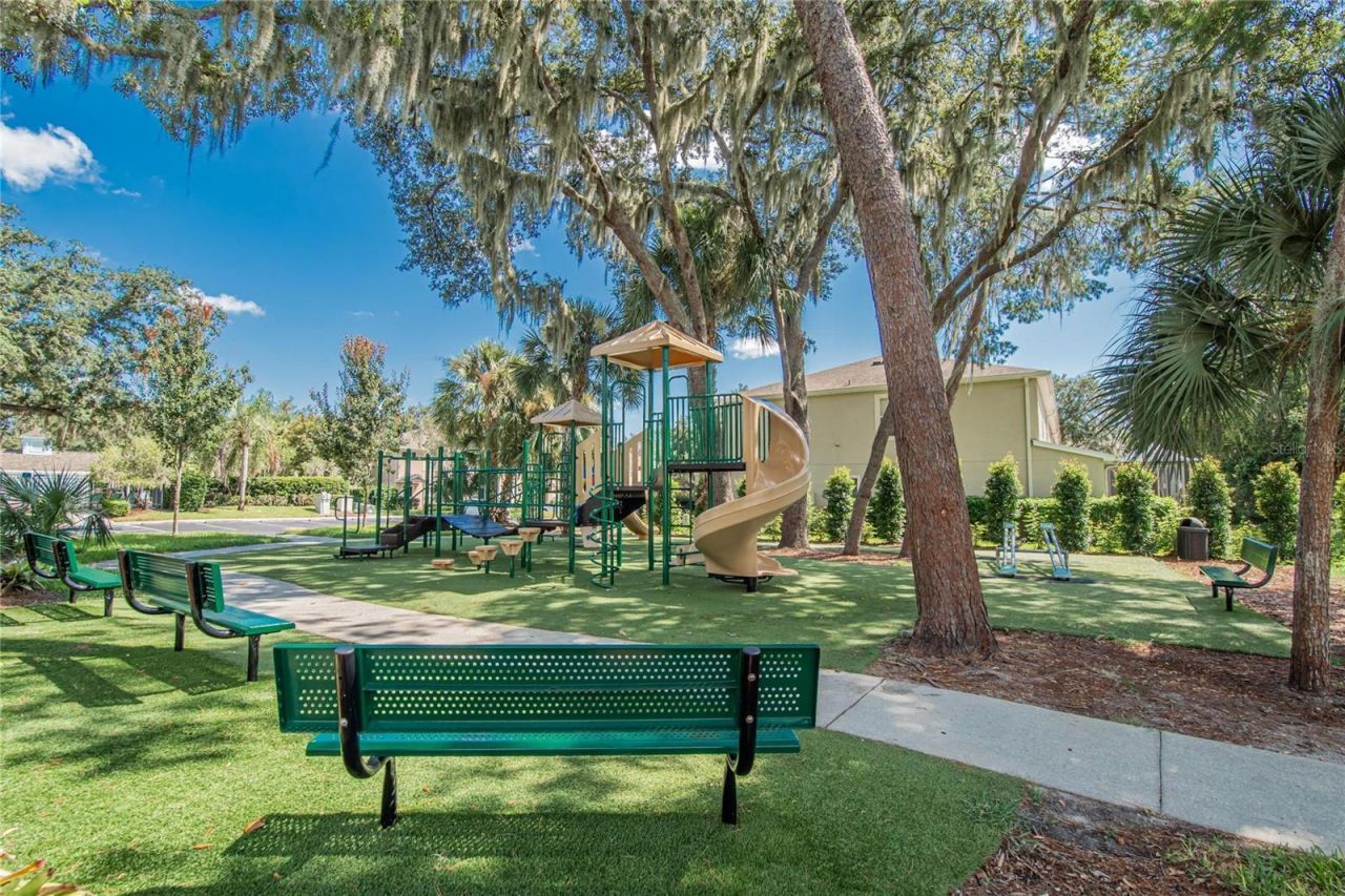 15768 Fishhawk Falls Drive, Lithia, FL 33547 Photo