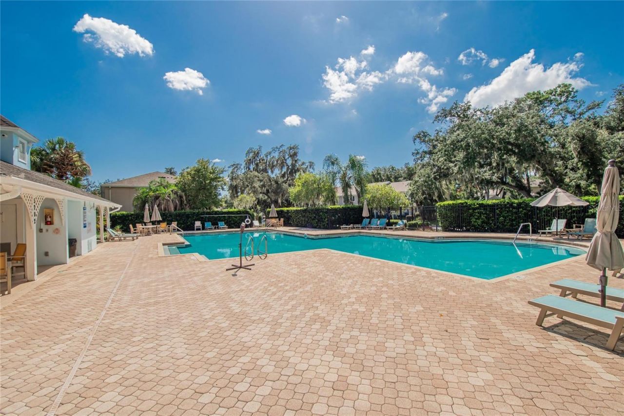 15768 Fishhawk Falls Drive, Lithia, FL 33547 Photo