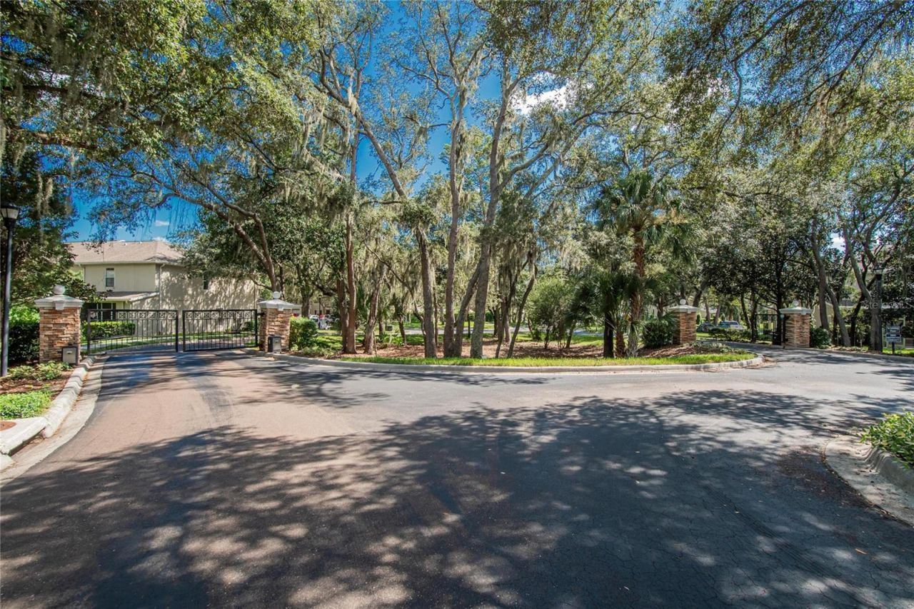 15768 Fishhawk Falls Drive, Lithia, FL 33547 Photo
